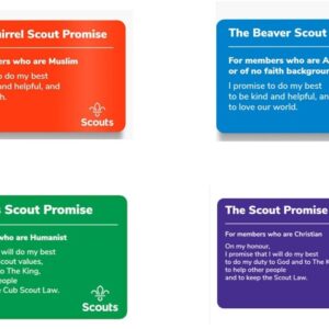 PROMISE CARDS